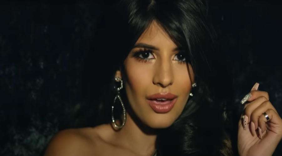 Read more about the article क्या Jasmin Walia के लिए हार्दिक पंड्या के दिल मैं कुछ कुछ होता है ?